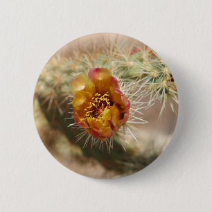 Bóton Redondo 5.08cm Flor do cacto de Cholla