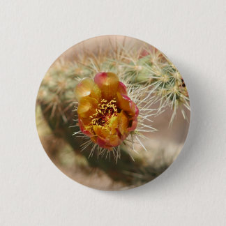 Bóton Redondo 5.08cm Flor do cacto de Cholla