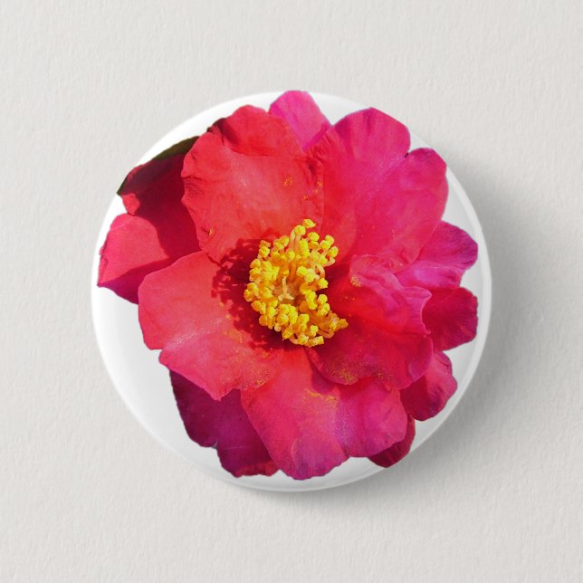 Bóton Redondo 5.08cm flor rosa da camellia (Frente)