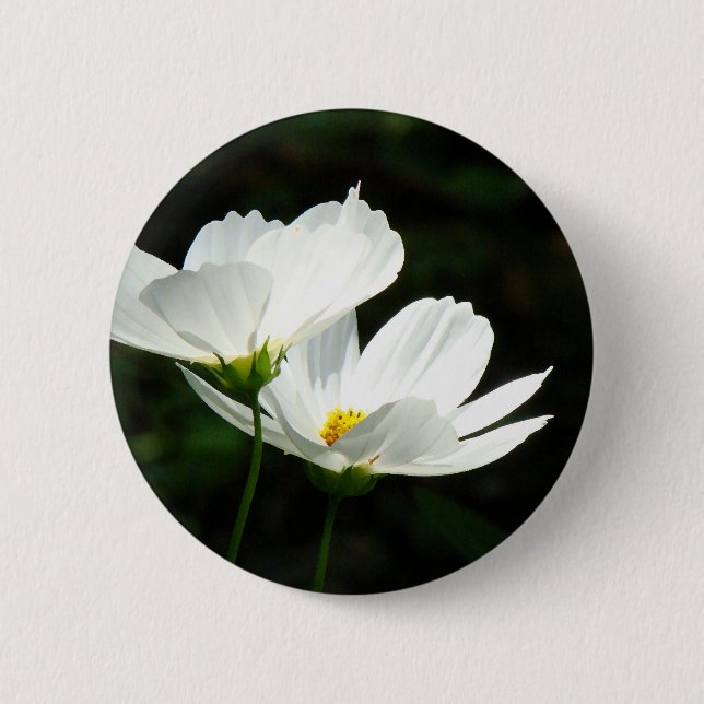 Bóton Redondo 5.08cm Flores da margarida do cosmos (Frente)