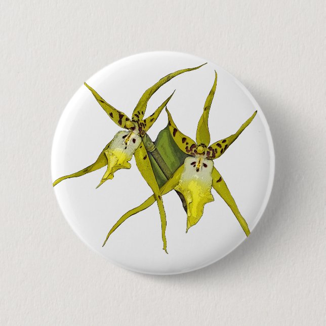 Bóton Redondo 5.08cm Flores da orquídea (Frente)