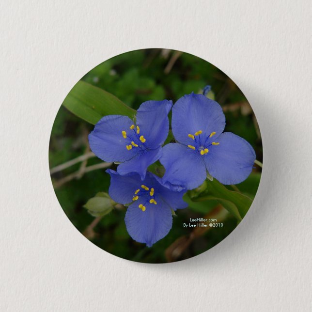 Bóton Redondo 5.08cm Flores-do-mato-azuis Primaveras quentes (Frente)