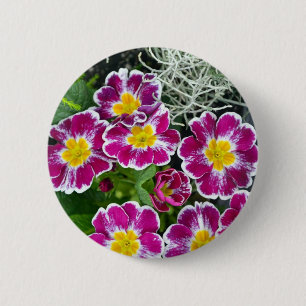 Bóton Redondo 5.08cm Flores roxas e amarelas do gênero primrose