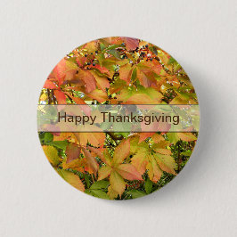 Bóton Redondo 5.08cm Folhas selvagens da vinha do outono