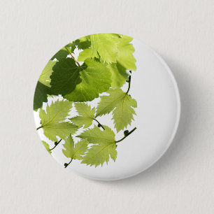 Bóton Redondo 5.08cm Folhas Verdes da Vinha de Grama