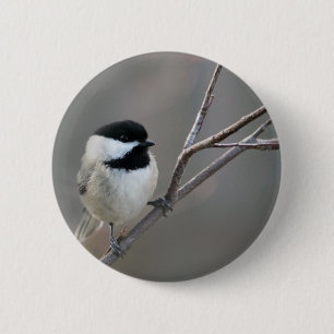 Bóton Redondo 5.08cm Foto de Chickadee Preto