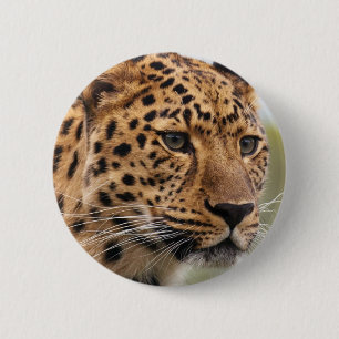 Bóton Redondo 5.08cm Foto de Leopardo