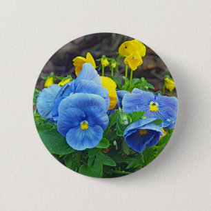 Bóton Redondo 5.08cm Foto Floral bonito de Pansy Azul e Amarelo