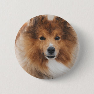 Bóton Redondo 5.08cm Foto Personalizada de Amante de Cachorro