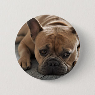 Bóton Redondo 5.08cm Foto Personalizada de Cachorro de Estimação