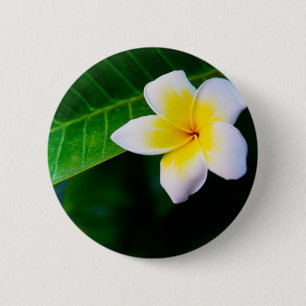 Bóton Redondo 5.08cm Fotografia de Flor de Plumeria