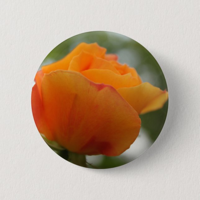 Bóton Redondo 5.08cm Fotografia linda de rosa amarela. (Frente)