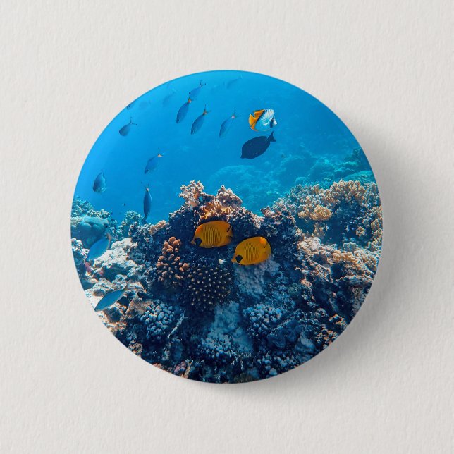 Bóton Redondo 5.08cm Fotografia náutica Animal Marinho Fotografia Peixe (Frente)