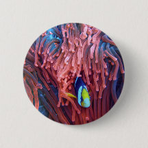 Fotografia náutica marinha aquática