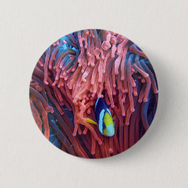 Bóton Redondo 5.08cm Fotografia náutica marinha aquática