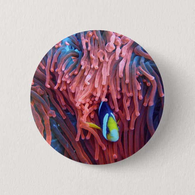 Bóton Redondo 5.08cm Fotografia náutica marinha aquática (Frente)