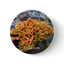 Frango Laranja do Cogumelo Woods