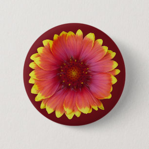 Bóton Redondo 5.08cm Gaillardia 1