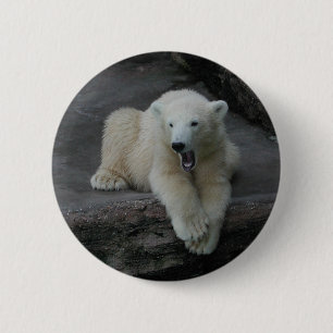 Bóton Redondo 5.08cm Galinha-do-urso-polar
