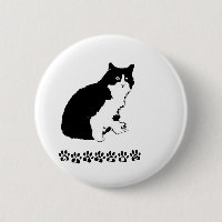 Gatinho do mitene