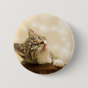 Bóton Redondo 5.08cm Gatinho Fofo com uma Pata Estimulada