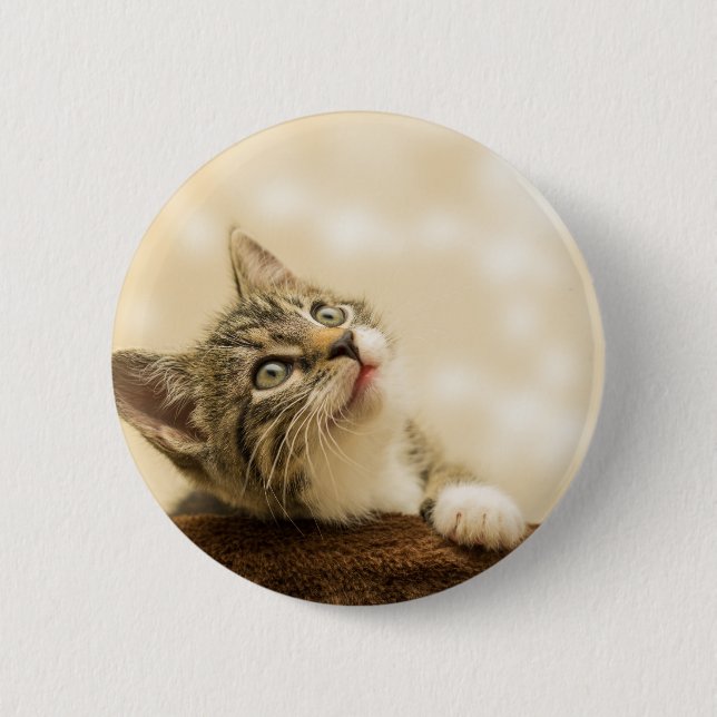 Bóton Redondo 5.08cm Gatinho Fofo com uma Pata Estimulada (Frente)