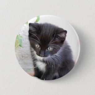 Bóton Redondo 5.08cm Gatinho preto e branco