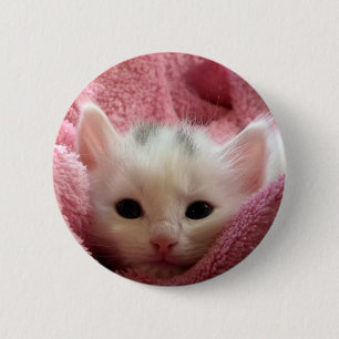 Bóton Redondo 5.08cm Gatinho suave doce