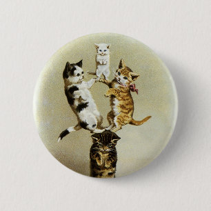 Bóton Redondo 5.08cm Gatinhos bonitos que jogam, humor dos gatos do