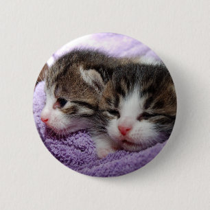 Bóton Redondo 5.08cm Gatinhos com sono