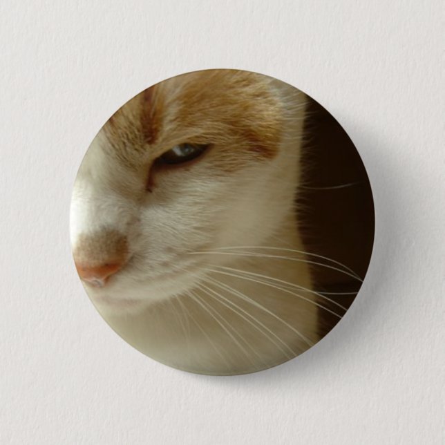 Bóton Redondo 5.08cm gato atuante (Frente)