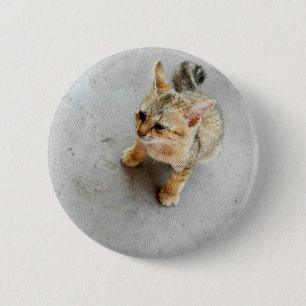 Bóton Redondo 5.08cm Gato de gato selvagem