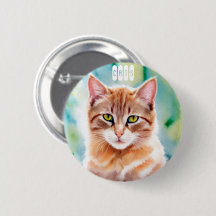 Gato de Laranja Cinto