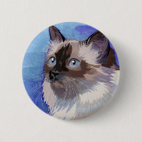 Gato Himalaia Siamese de cabelos compridos