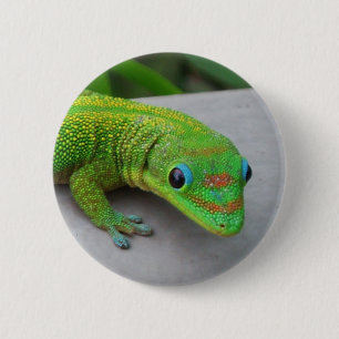 Bóton Redondo 5.08cm Gecko do Dia da Pó Dourado - Audiência e Gecko