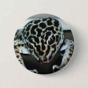 Bóton Redondo 5.08cm Geco de Lepard