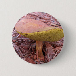 Bóton Redondo 5.08cm Gilled Bolete Mushroom