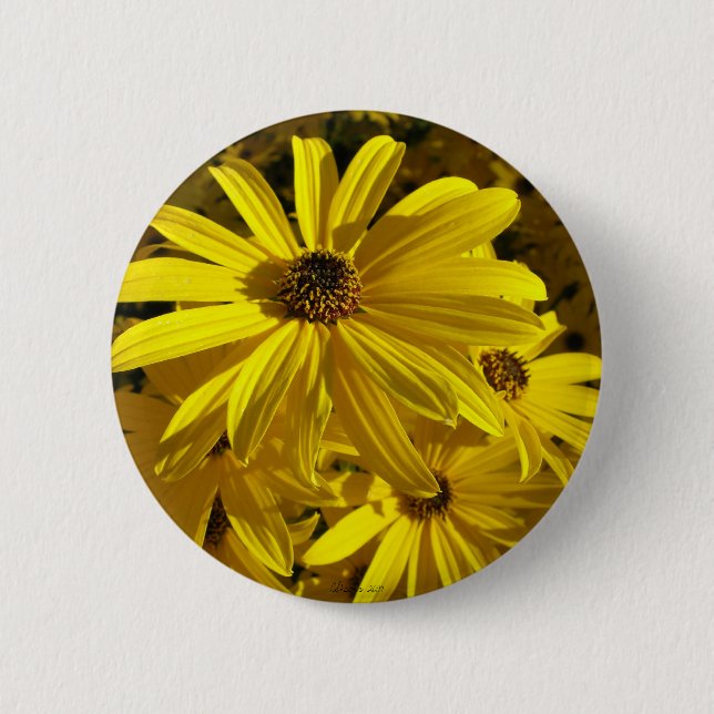 Bóton Redondo 5.08cm Girassóis no zoológico (Frente)