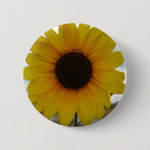 Bóton Redondo 5.08cm girassol