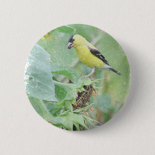 Bóton Redondo 5.08cm Goldfinch Grunge