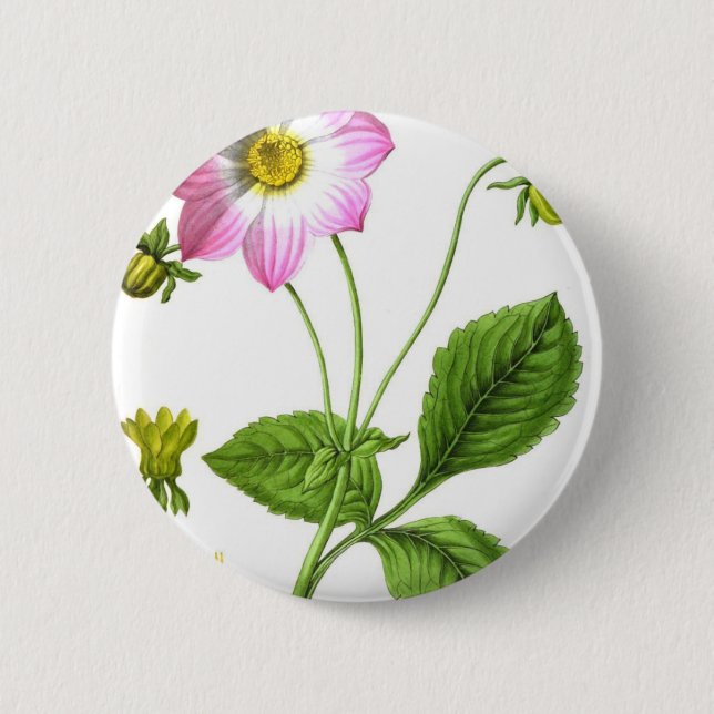 Bóton Redondo 5.08cm Grace (Frente)