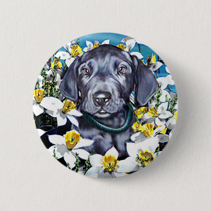 Bóton Redondo 5.08cm Grande Dane Pup em Azul Daffodils