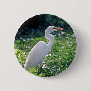 Bóton Redondo 5.08cm Grande Egret
