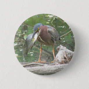 Bóton Redondo 5.08cm Green Heron vai pescar