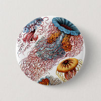 Haeckel DisComune