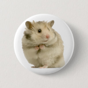 Bóton Redondo 5.08cm Hamster