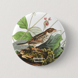 Bóton Redondo 5.08cm Henslow's Sparrow, Birdwatcher, Audubon Art, Bird
