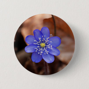 Bóton Redondo 5.08cm Hepatica comum (nobilis de Hepatica)