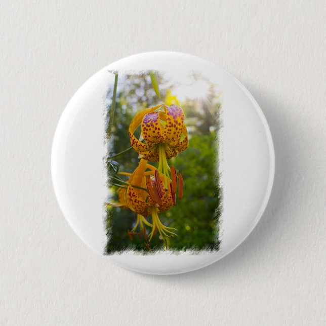 Bóton Redondo 5.08cm Humboldt Lily Sunburst (Frente)