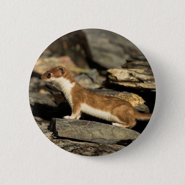 Bóton Redondo 5.08cm Hunting Weasel (Frente)
